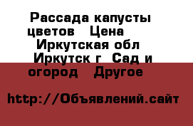 Рассада капусты, цветов › Цена ­ 15 - Иркутская обл., Иркутск г. Сад и огород » Другое   